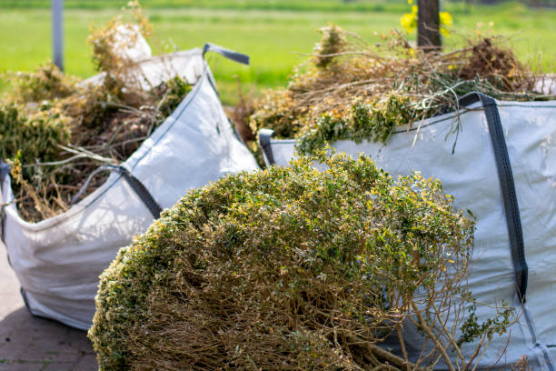 Best Trash Removal Near Me  in Wolfhurst, OH